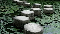 A picture of some stepping stones