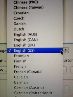 Picture of American English being selected from the language settings for a copywriting project