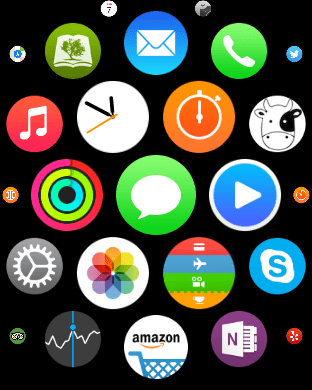 A picture of the Apple Watch Messages app icon